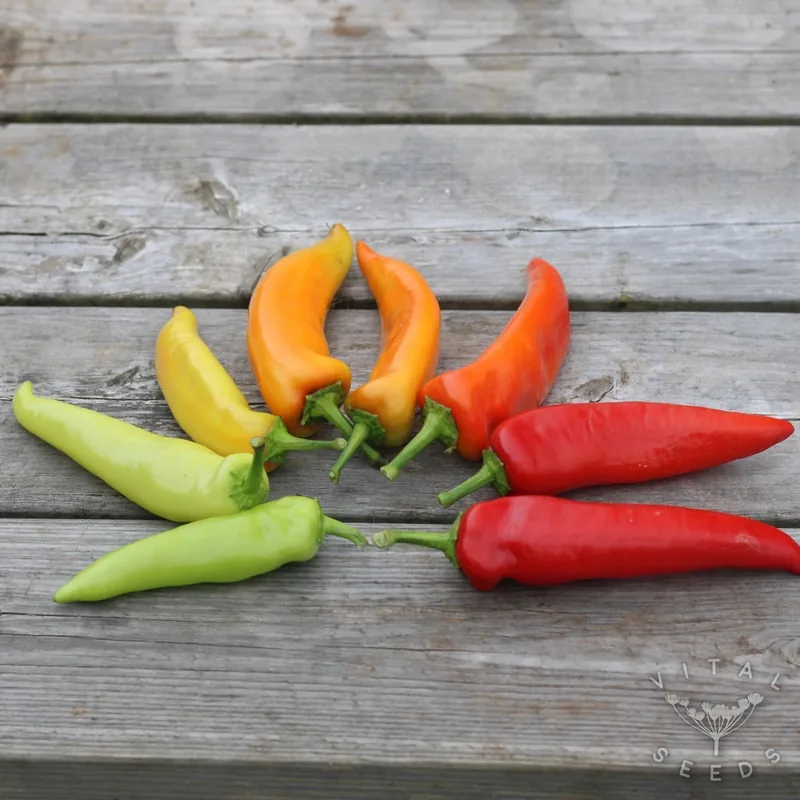 Hungarian Hot Wax