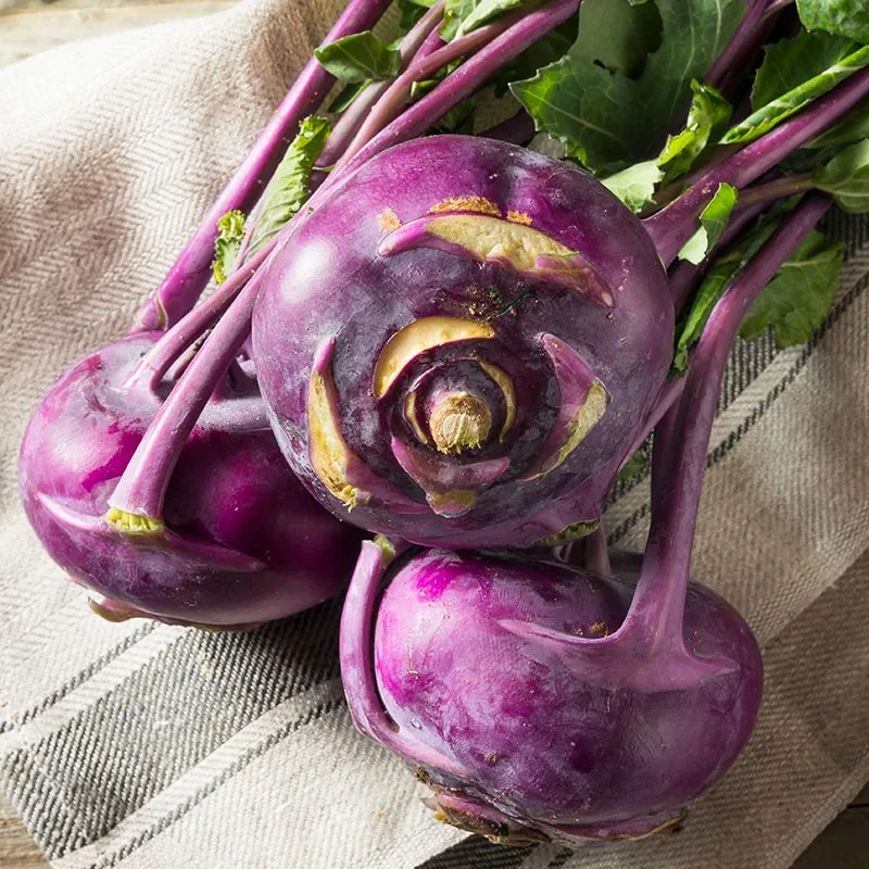 Purple Delicacy