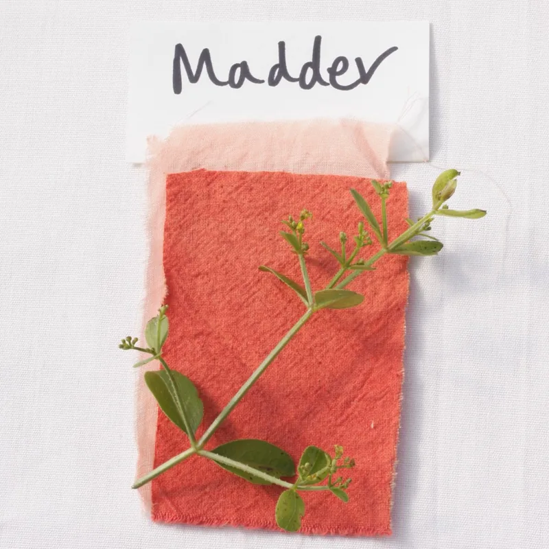 Madder (Organic)