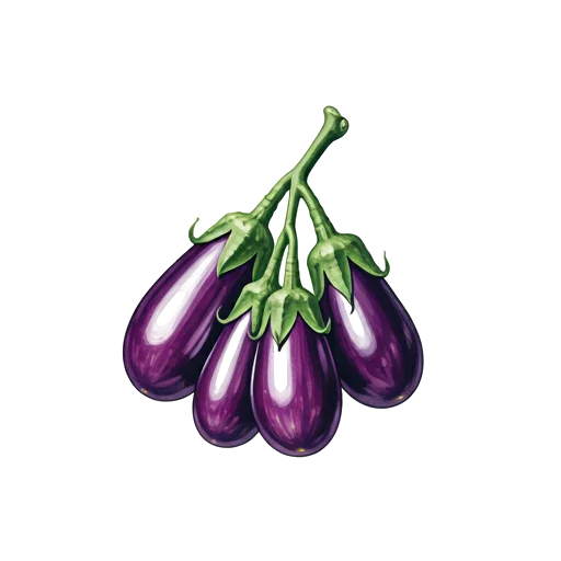 Aubergine Bambino
